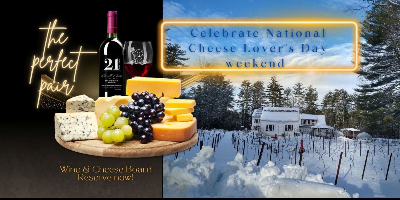 Featured image for Averill House Vineyard
