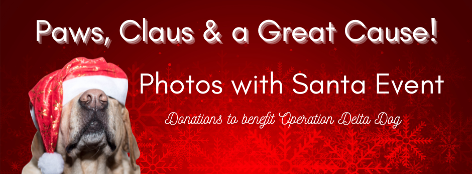 Featured image for Marmonti Real Estate