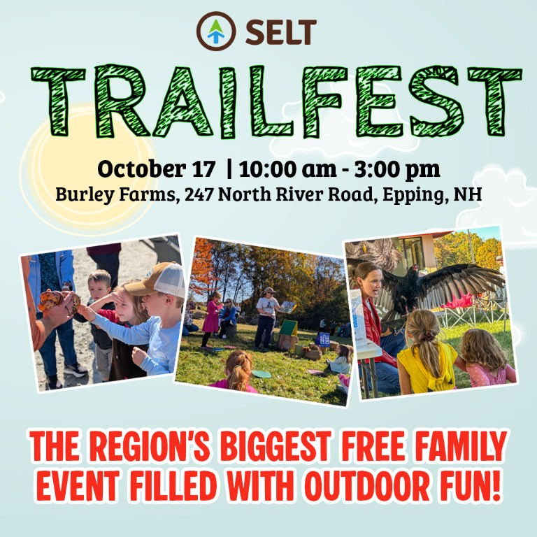 Featured image for SELT