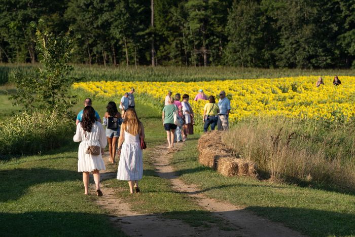 Additional image for Coppal House Farm
