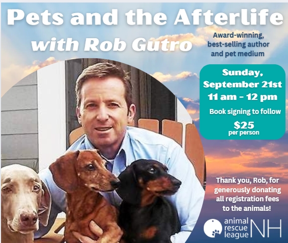 Featured image for Animal Rescue League of NH