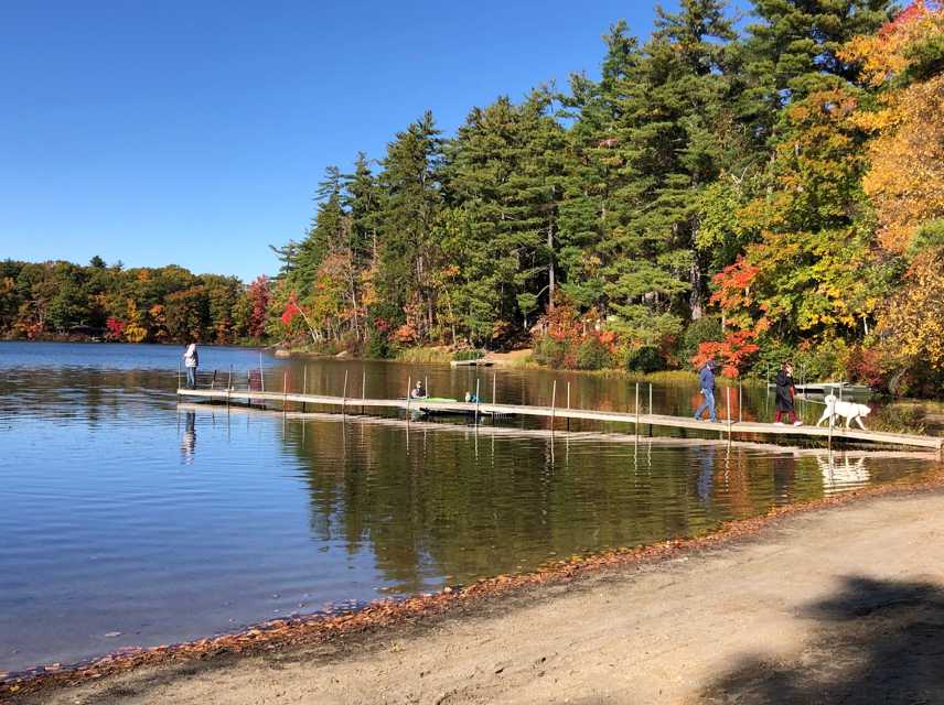 Spacious Skies French Pond