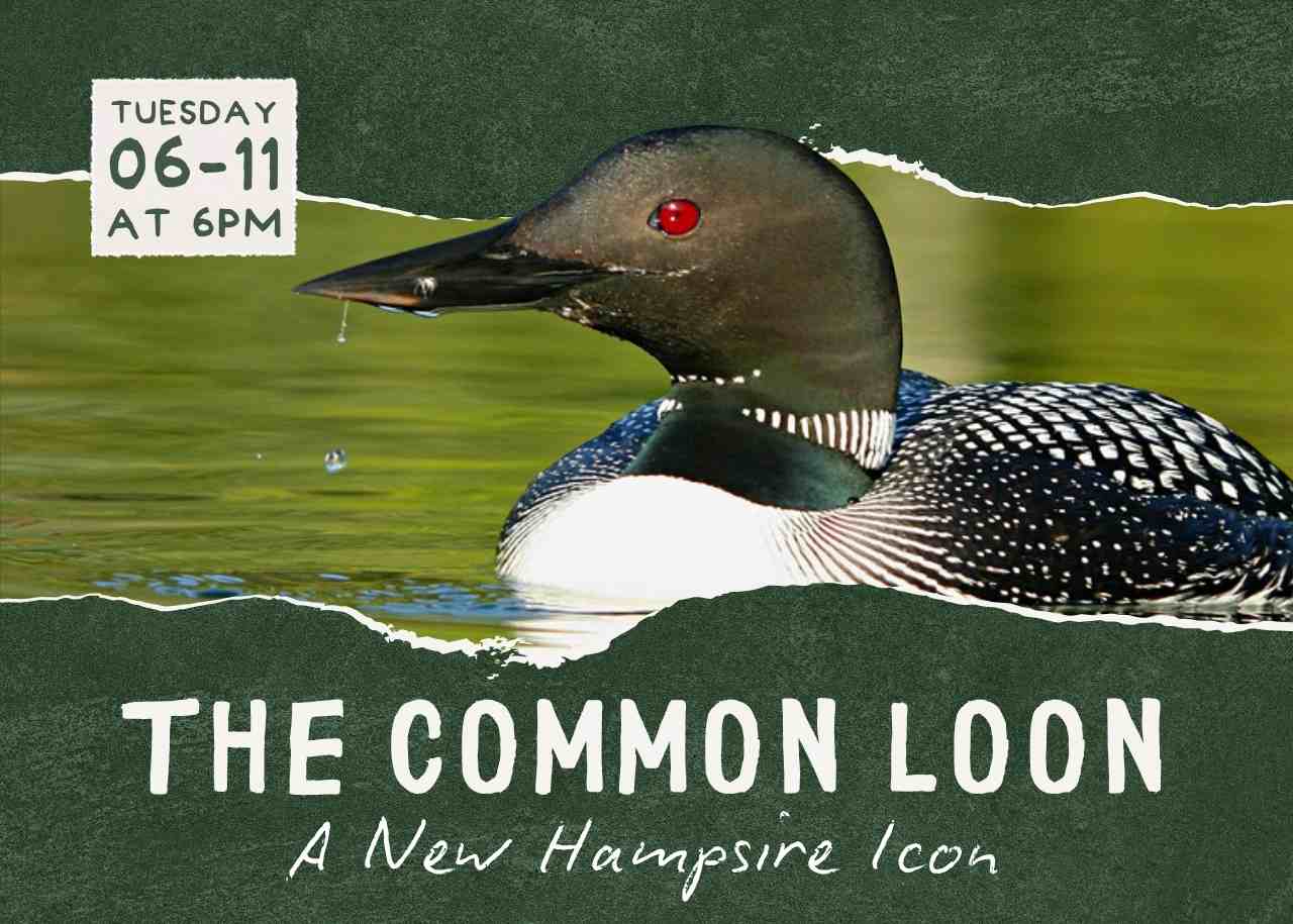 Featured image for Laconia Public Library