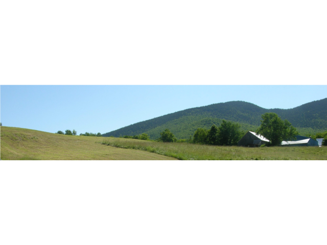 one of many views