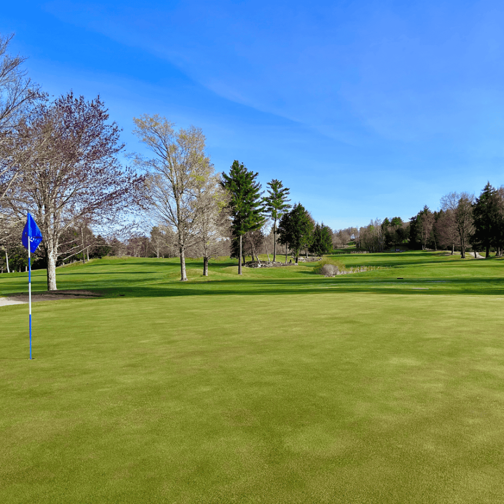 Golf Course Image