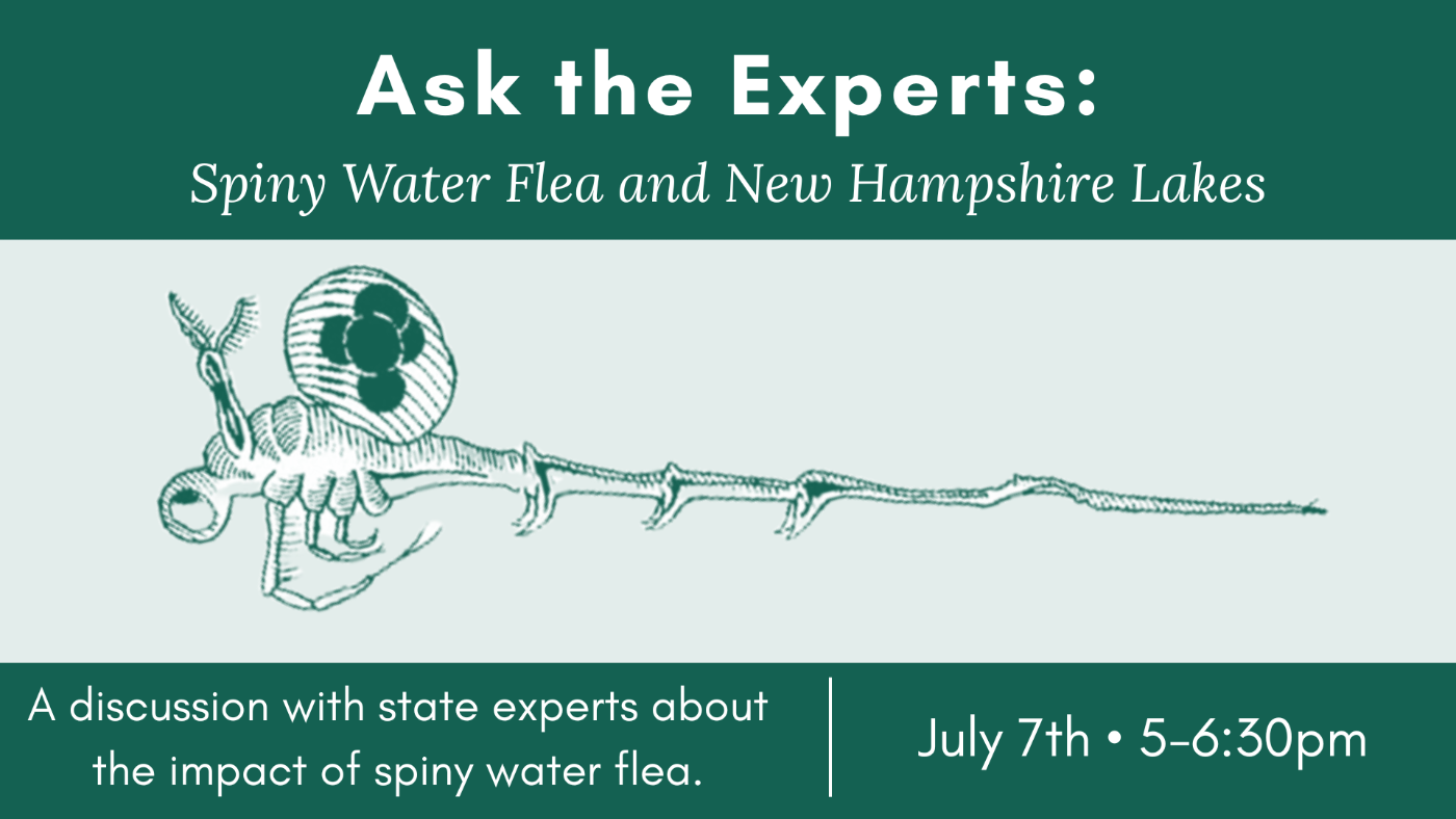 Featured image for Newfound Lake Region Association