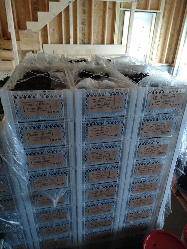 Additional image for Averill House Vineyard