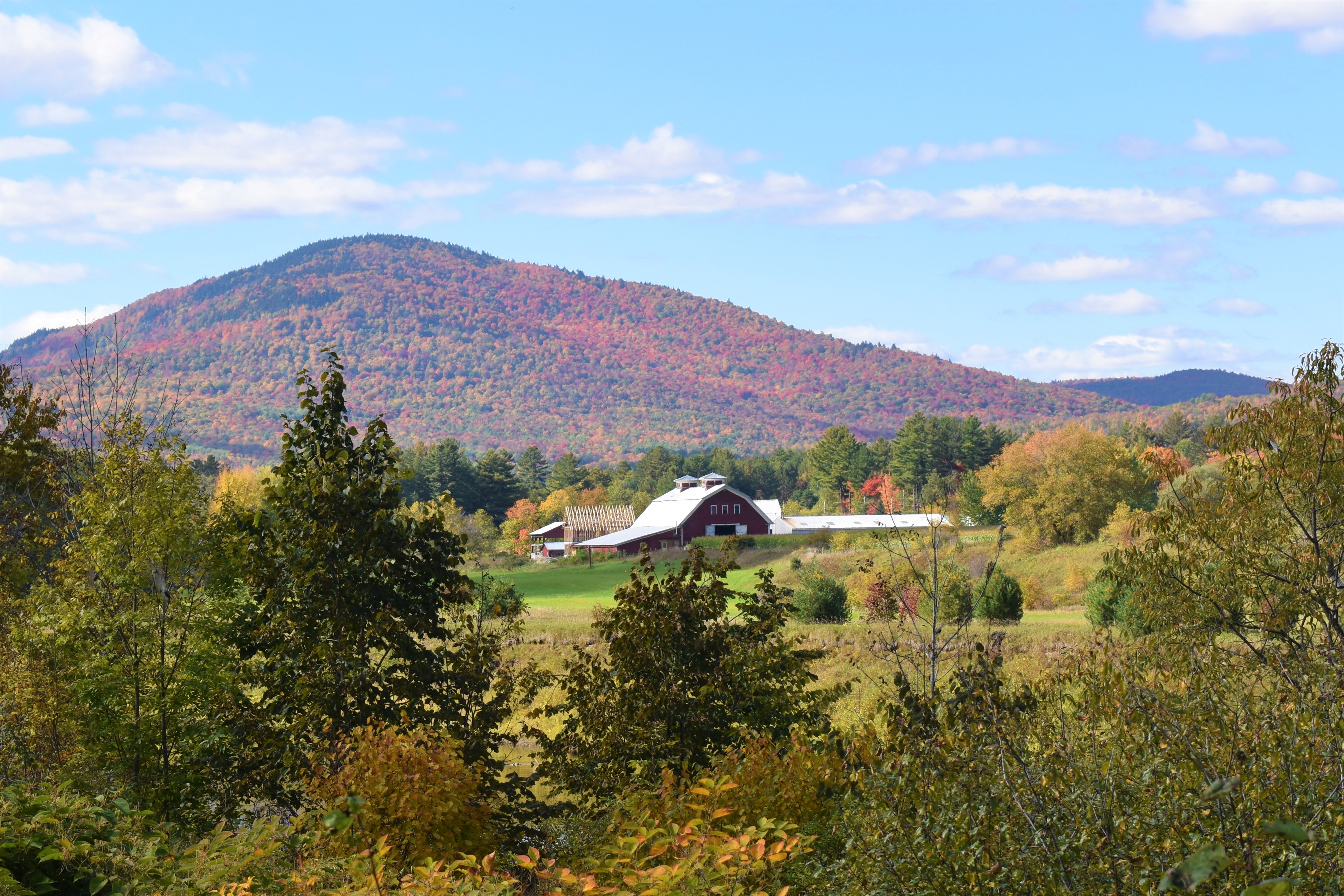 a mountain view of fall foliage and a farm