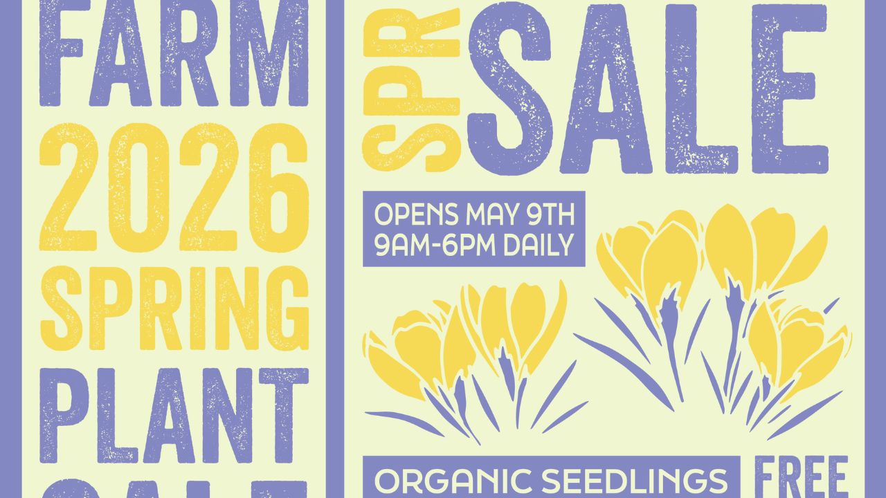 Featured image for Brookford Farm