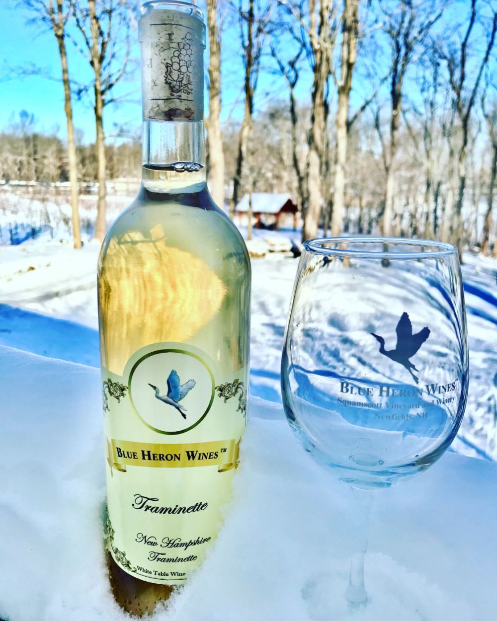 Using nature to chill a bottle of Traminette, made using sustainable farming, and minimal intervention in the vineyard and winery.