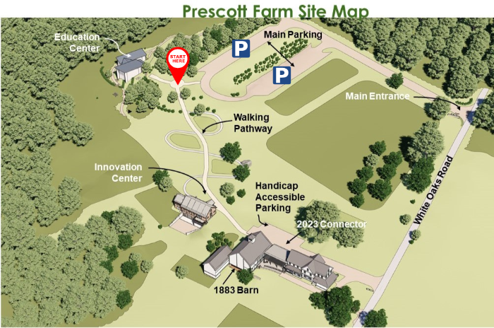 Additional image for Fruit Tree Pruning