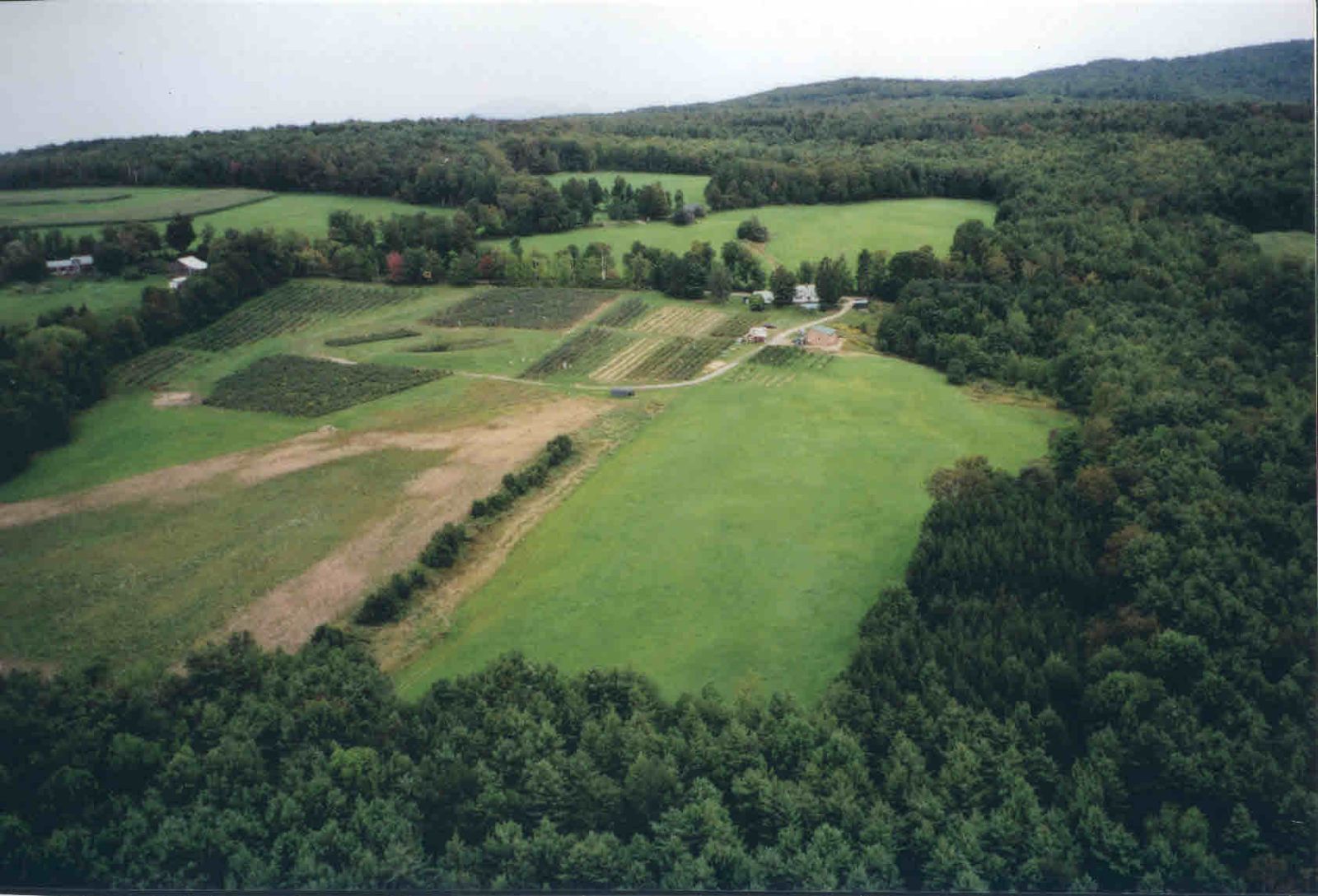 Farm