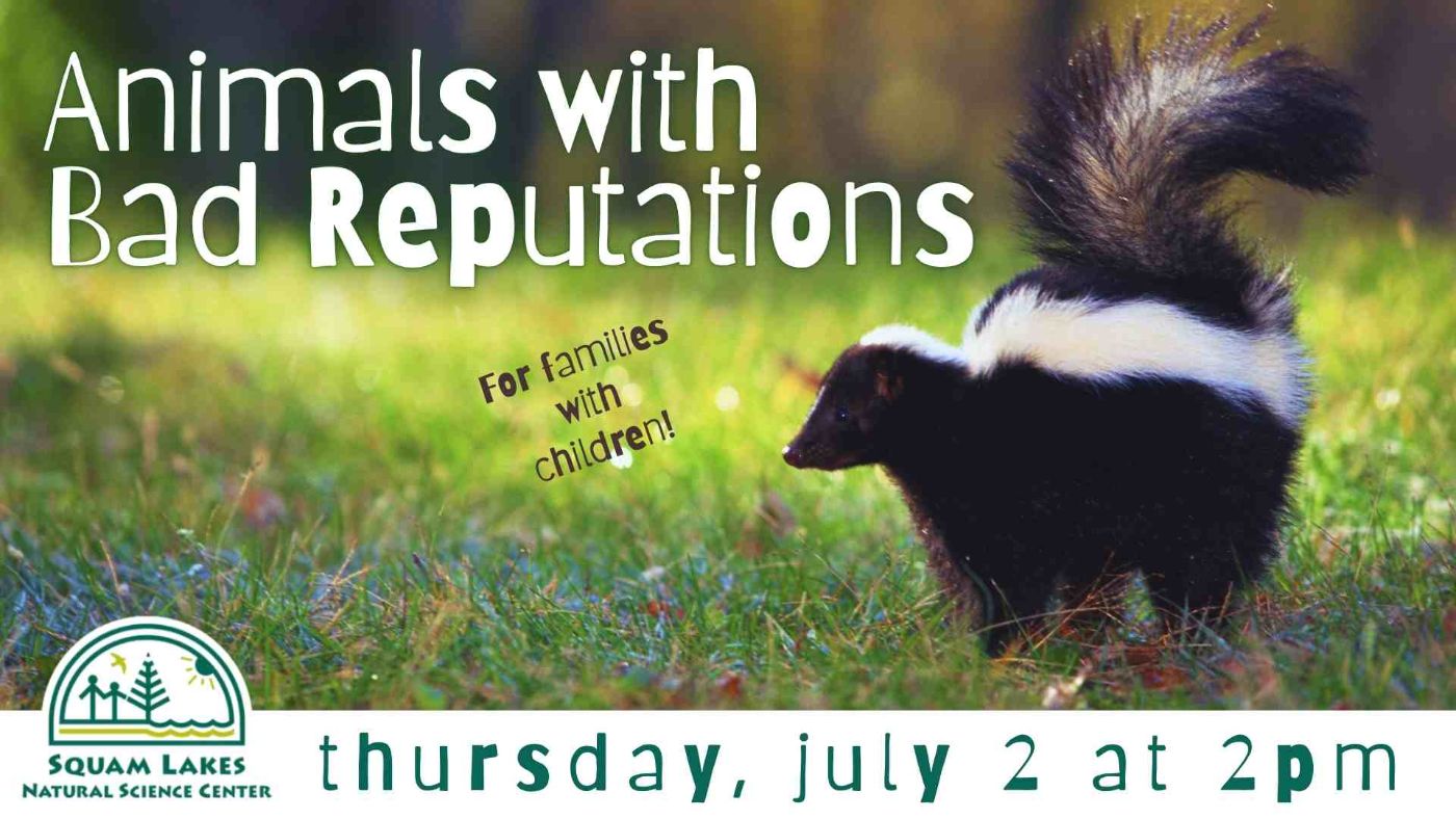Featured image for Laconia Public Library