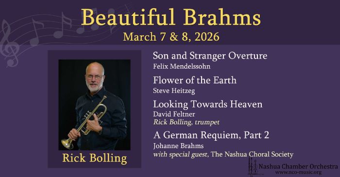 Additional image for Nashua Chamber Orchestra