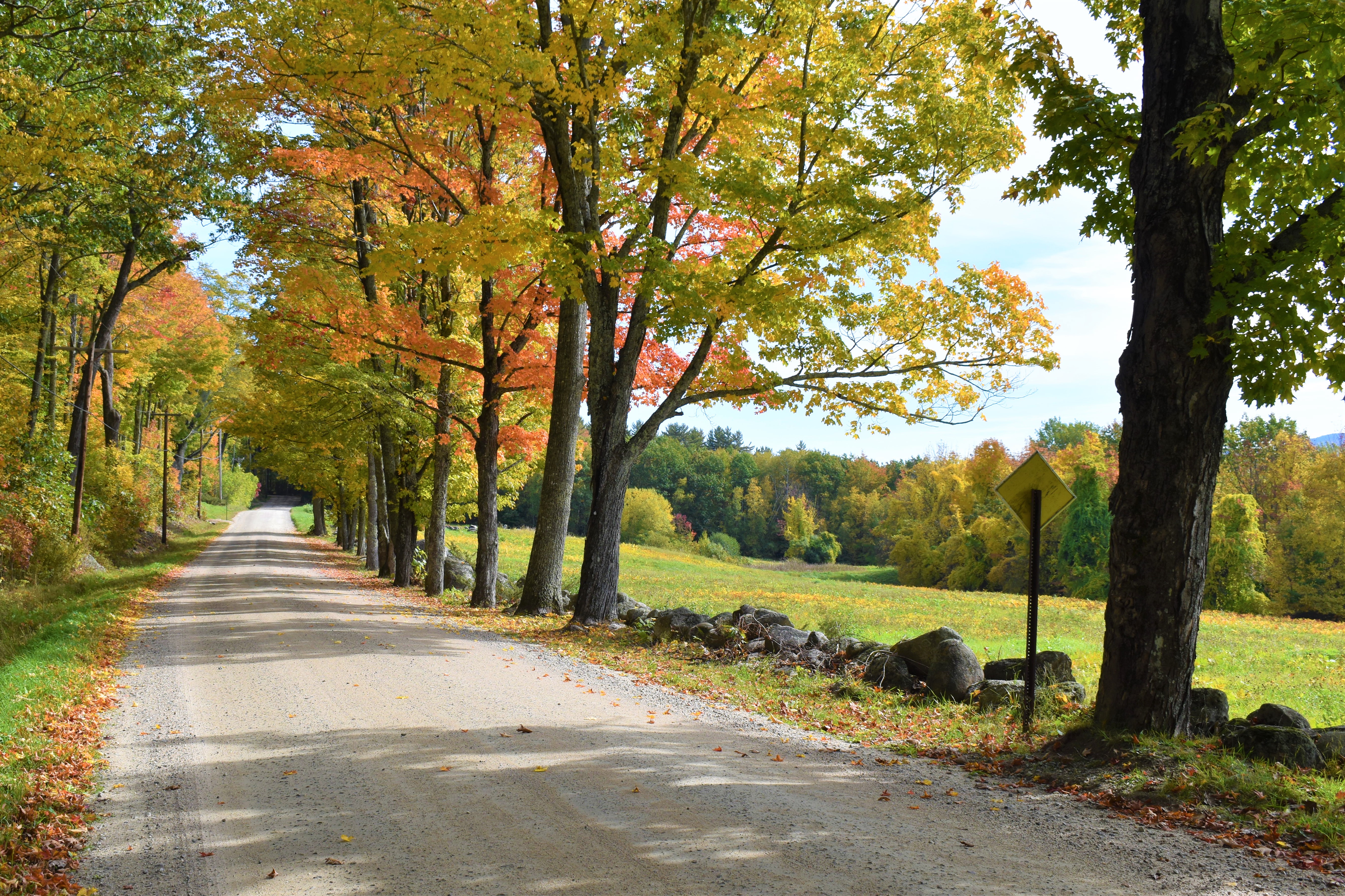 a dirt road next to a field with fall foliage