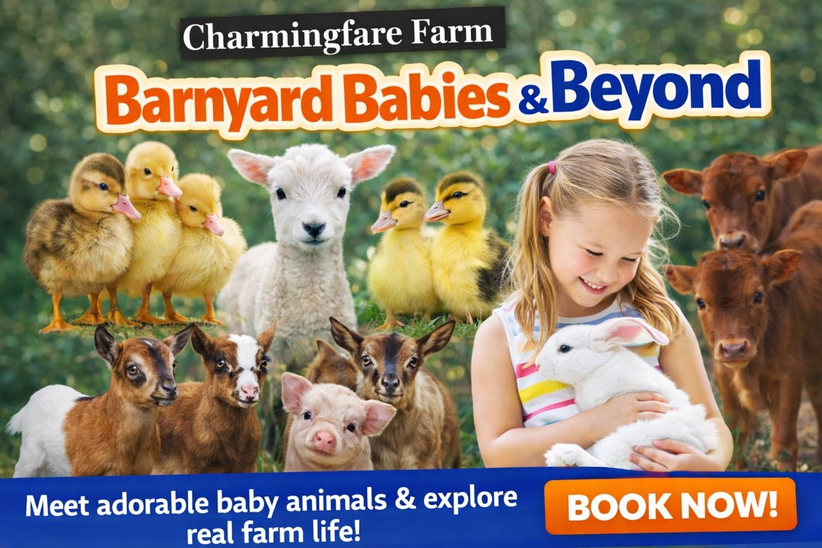 Featured image for Charmingfare Farm