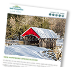 Image of a newsletter with a picture of a covered bridge in winter