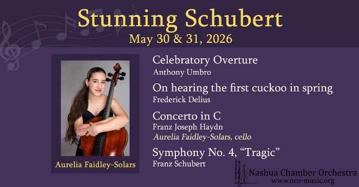Additional image for Nashua Chamber Orchestra