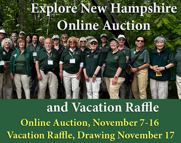 Featured image for Granite State Ambassadors