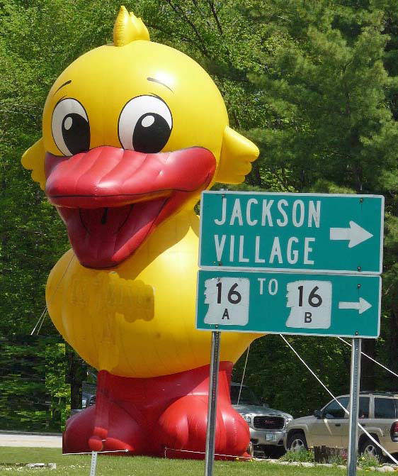 Featured image for Wildquack Duck Race & Music Festival