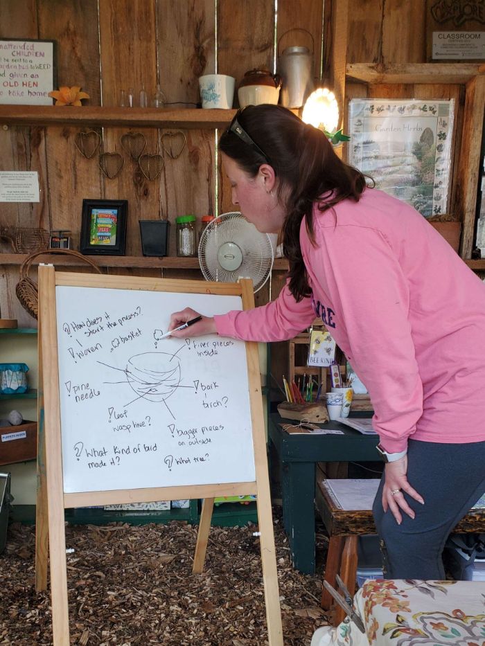 Additional image for Petals in the Pines