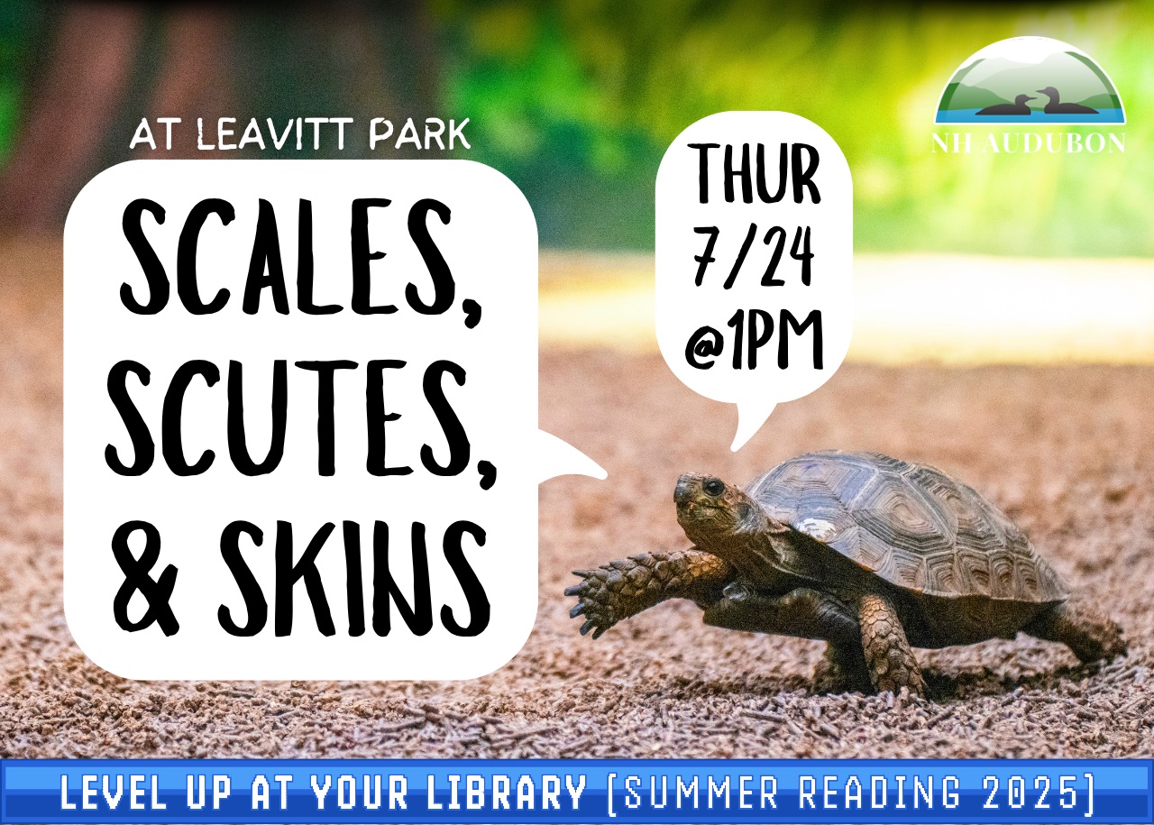 Featured image for Laconia Public Library