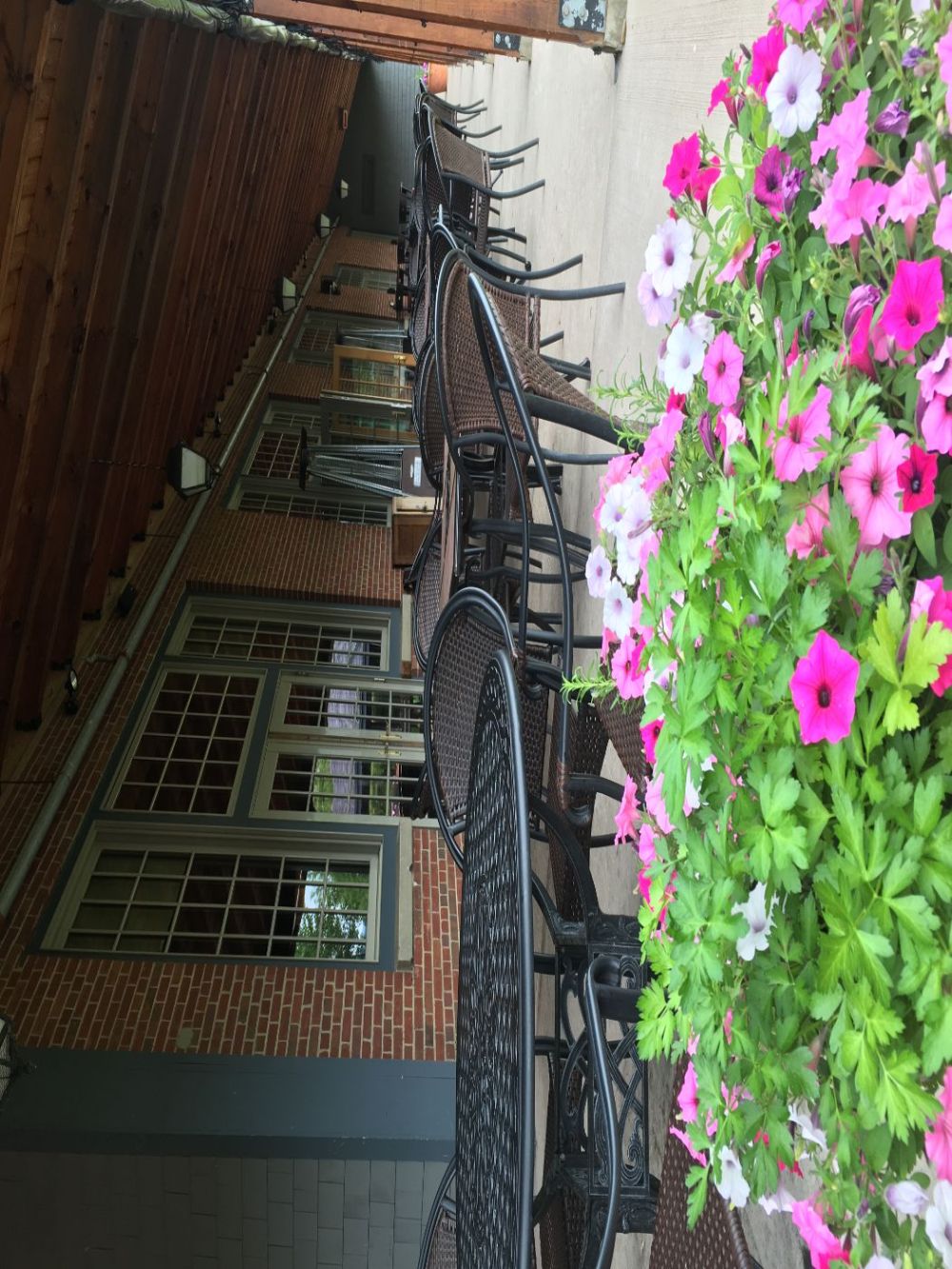 IMG_9446.jpeg
