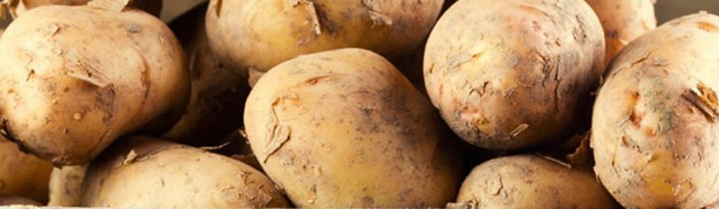 up close image of brown potatoes