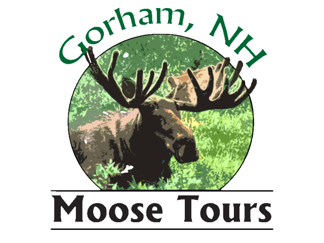 moose tours gorham nh