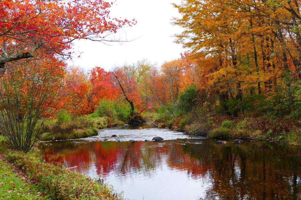 river in autumn