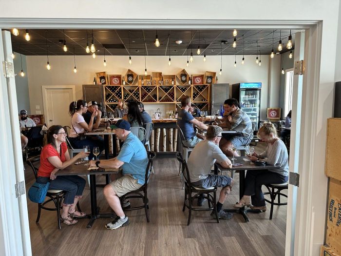 Additional image for Pottery Painting and Wine Tasting at Seven Birches Winery