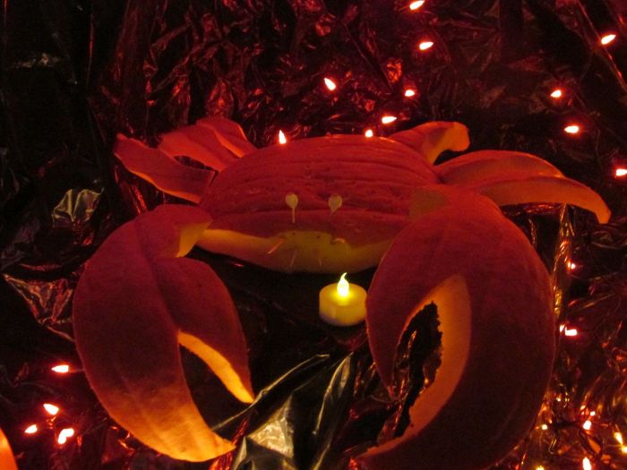 Additional image for All Things Pumpkin Festival