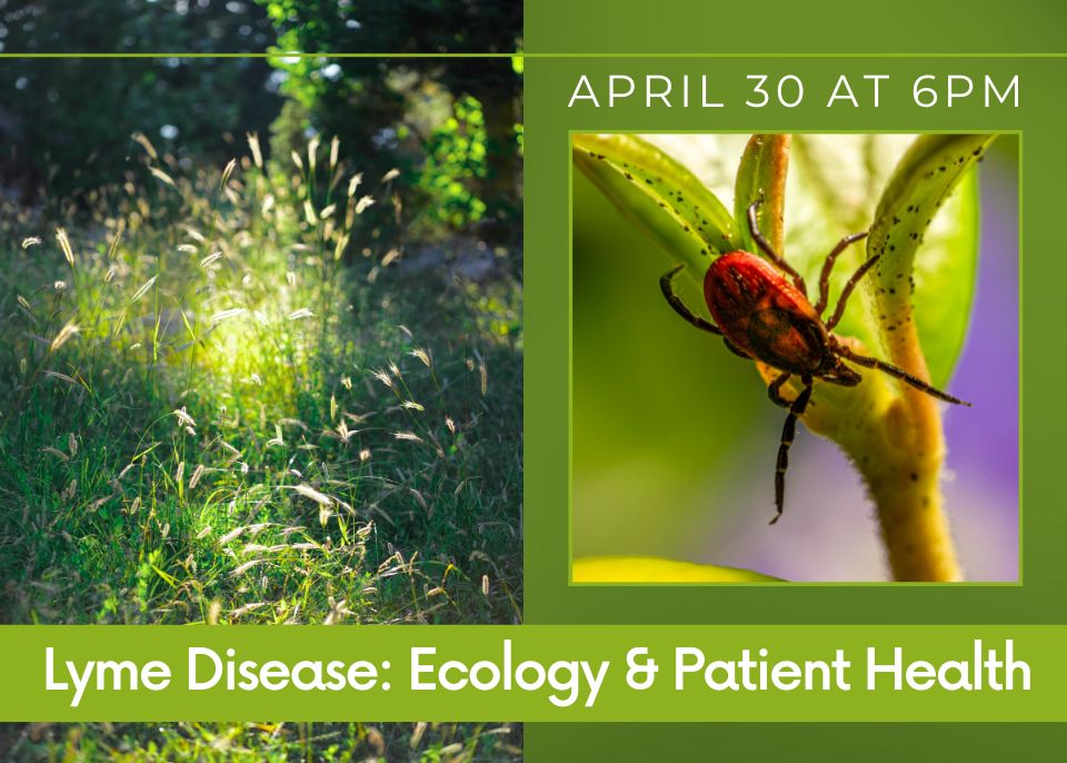 Featured image for Laconia Public Library