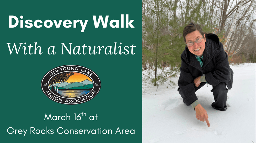 Featured image for Newfound Lake Region Association