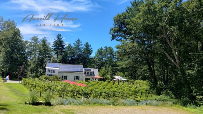 Additional image for Averill House Vineyard