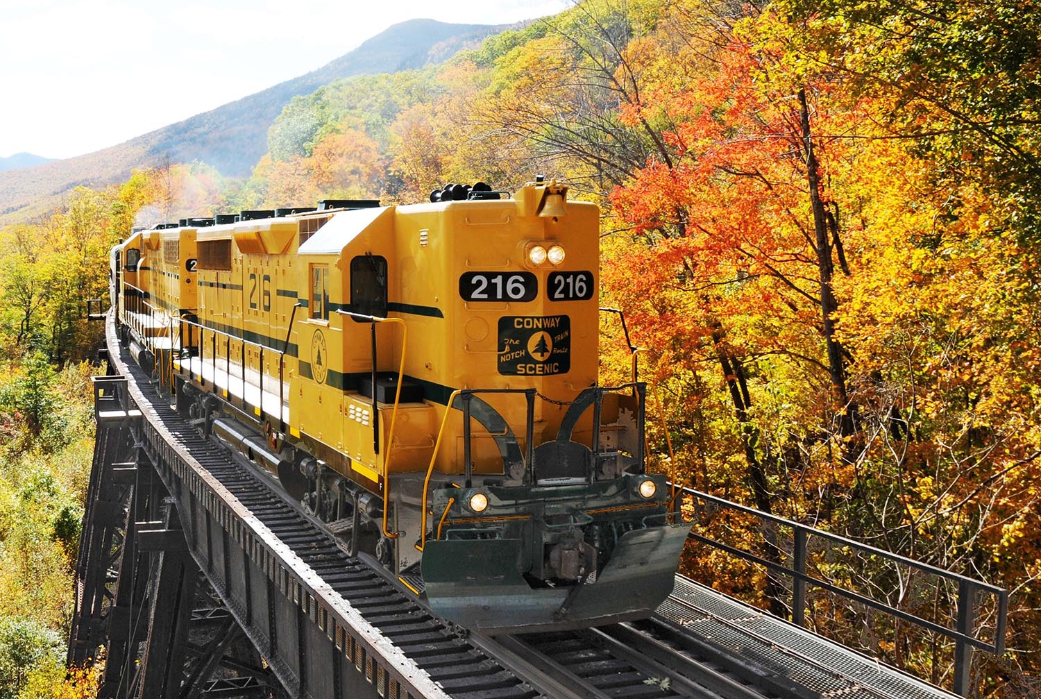 Yellow train riding through yellow and orange foliage