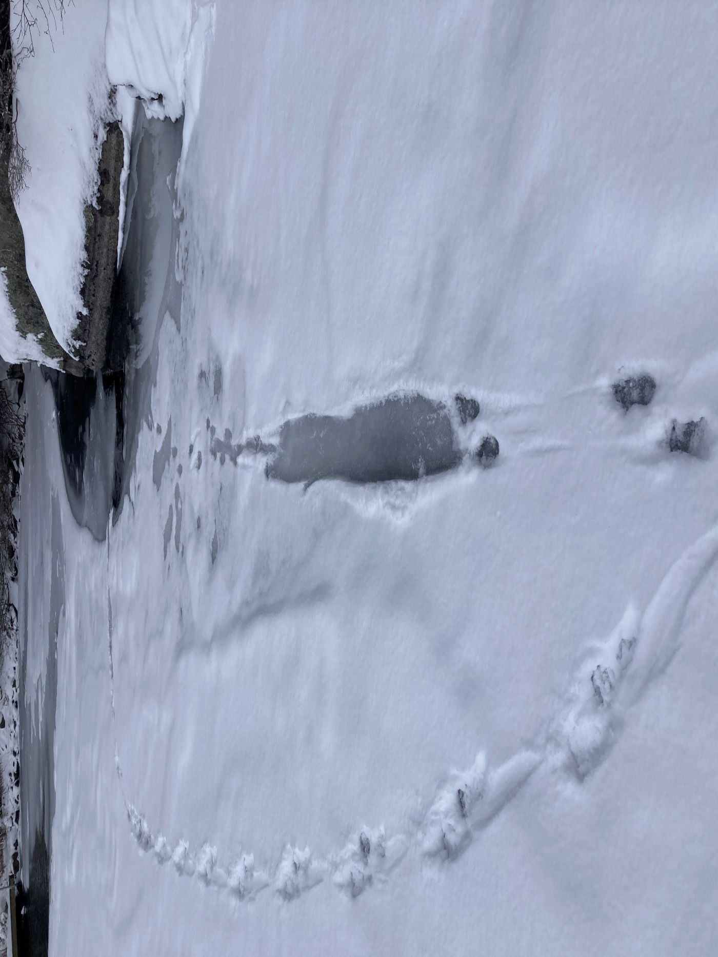 Featured image for Squam Lakes Association