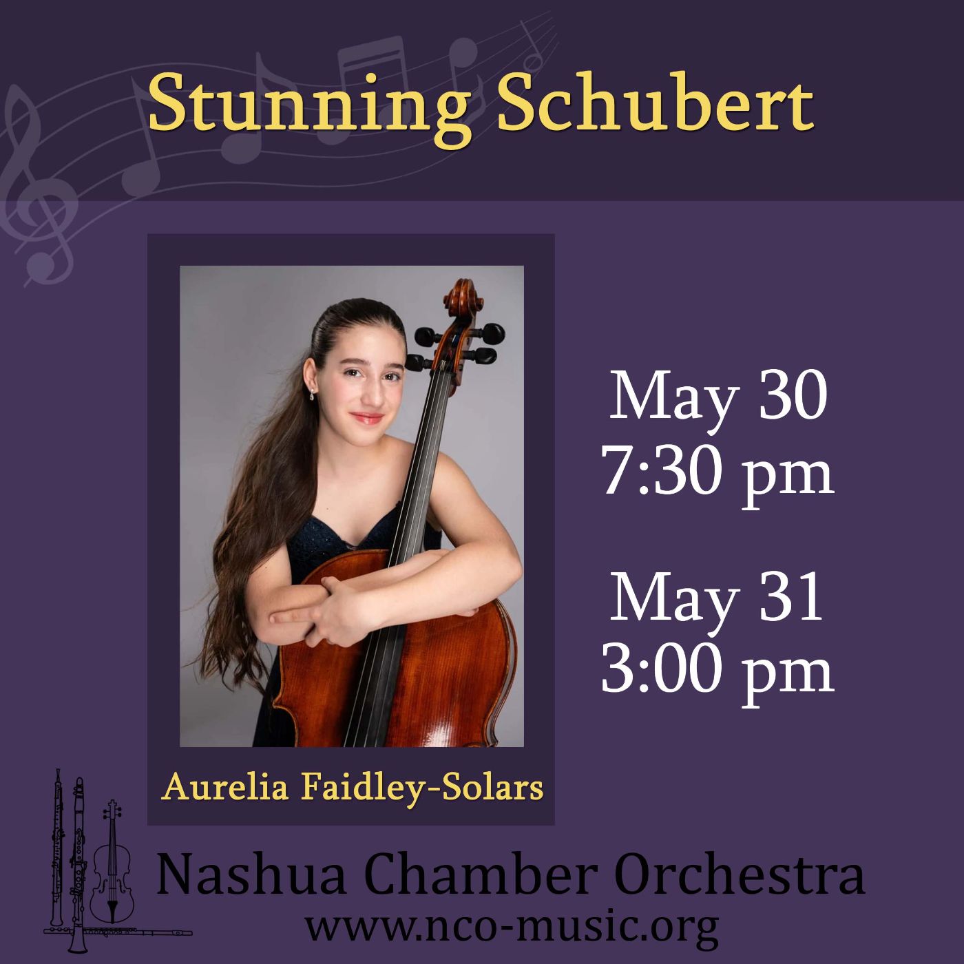 Featured image for Nashua Chamber Orchestra