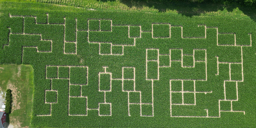 WashburnsWindyHillOrchardpic.jpg