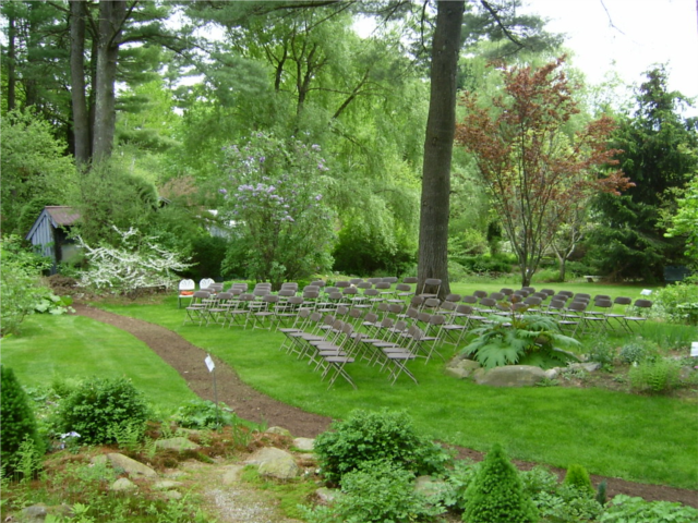 Willow Lawn