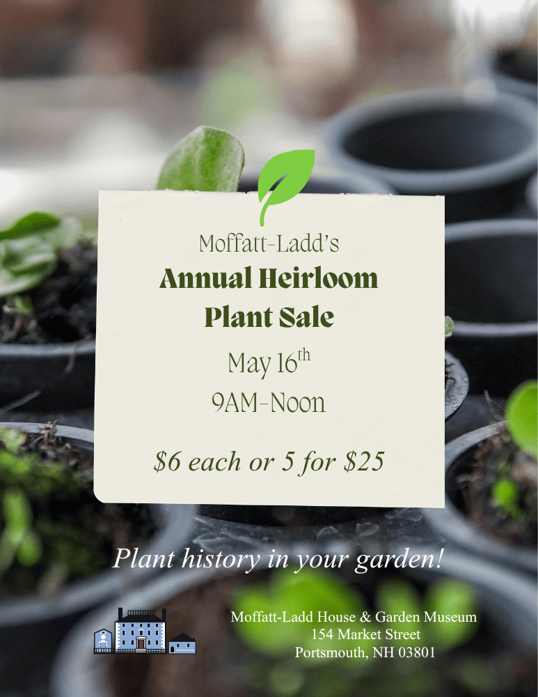 Featured image for Moffatt-Ladd House & Garden