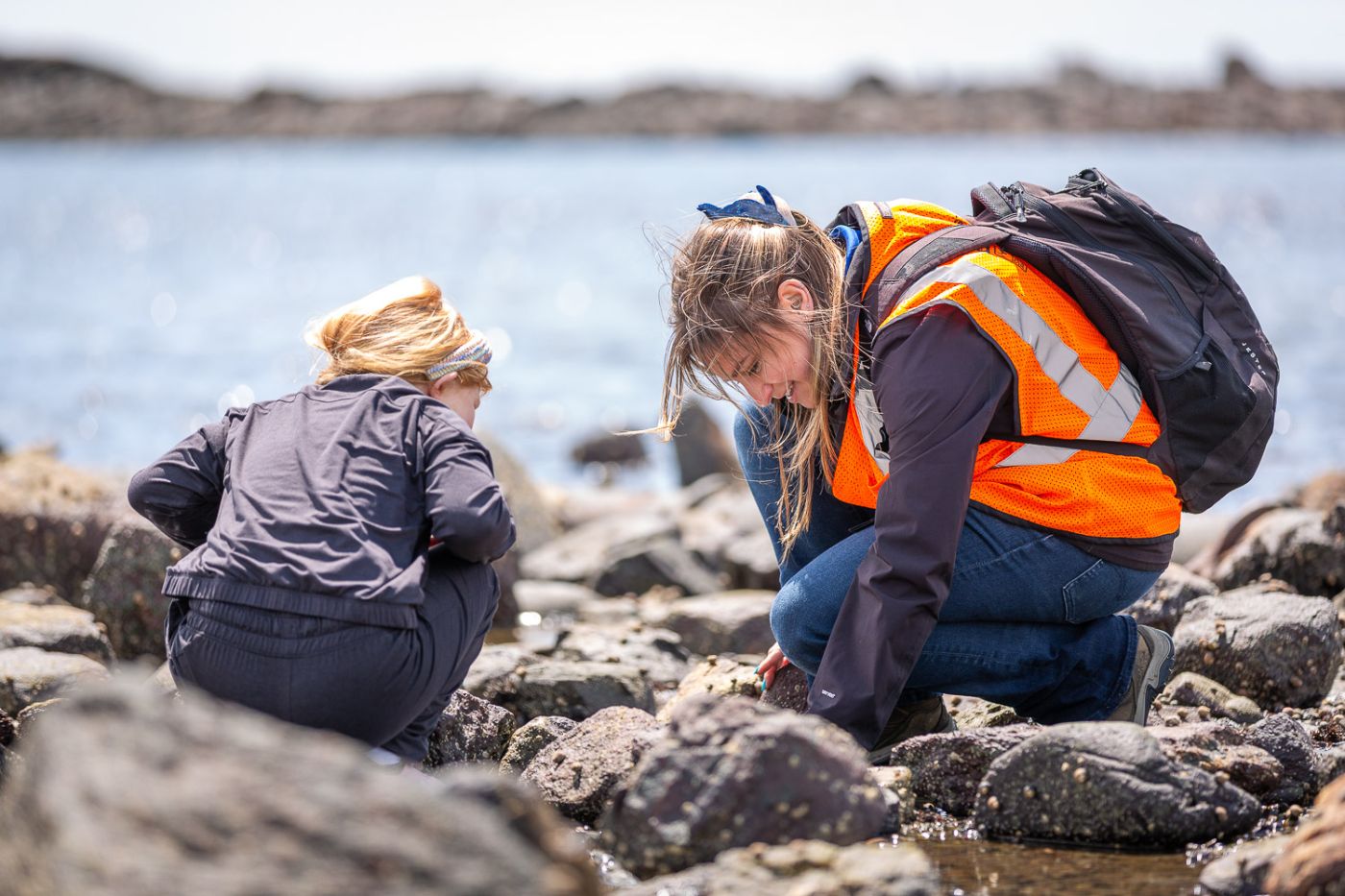 Featured image for Seacoast Science Center