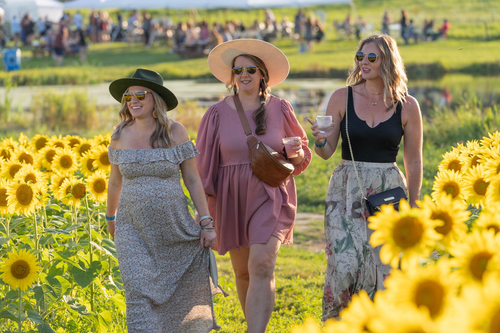 Featured image for Coppal House Farm