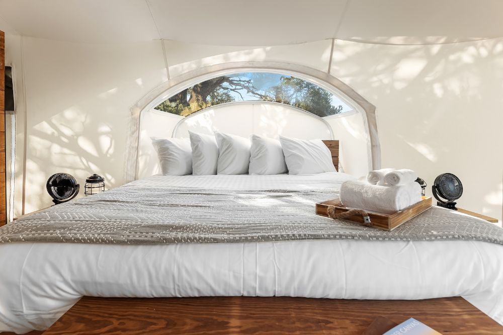 Inside view of Stargazer Tent