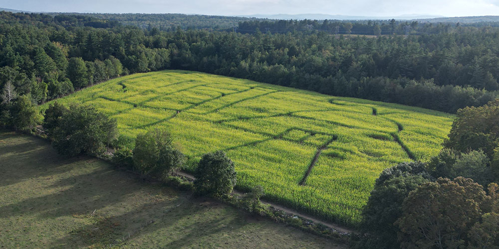BeechHillFarm2_2.jpg