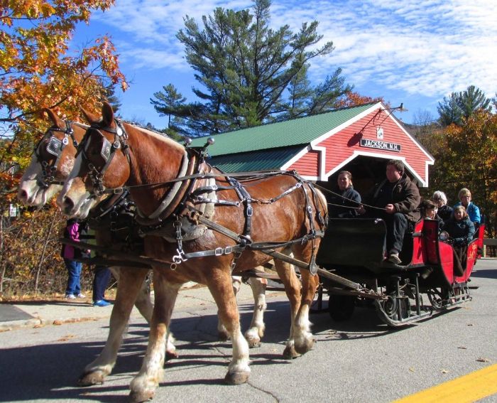 Additional image for All Things Pumpkin Festival