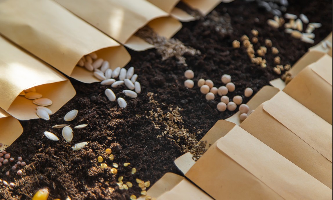 Featured image for NH Audubon