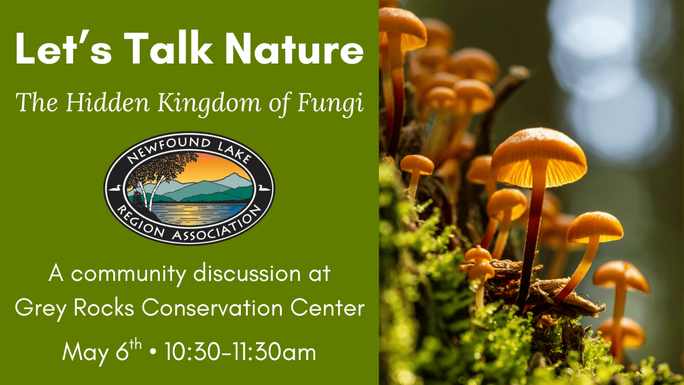 Featured image for Newfound Lake Region Association