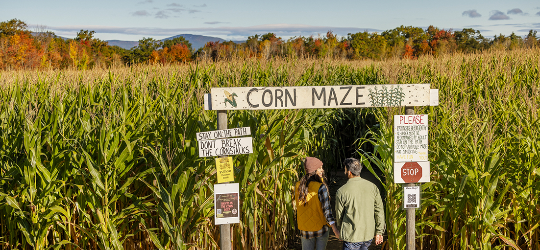 Corn-Maze.jpg Corn-Maze.jpg