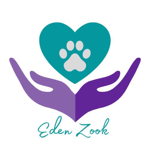 Featured image for Pope Memorial SPCA